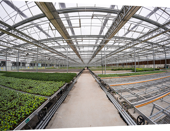 專(zhuān)業(yè)團(tuán)隊(duì)，經(jīng)驗(yàn)十足，行業(yè)優(yōu)選