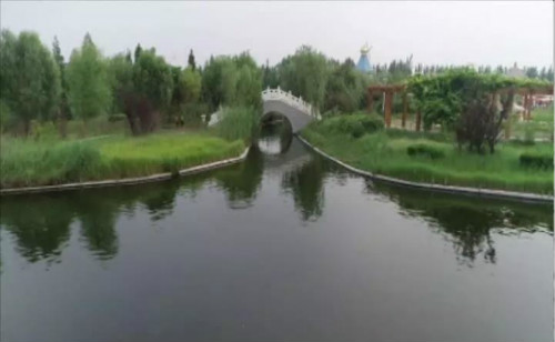 人工濕地 人工濕地